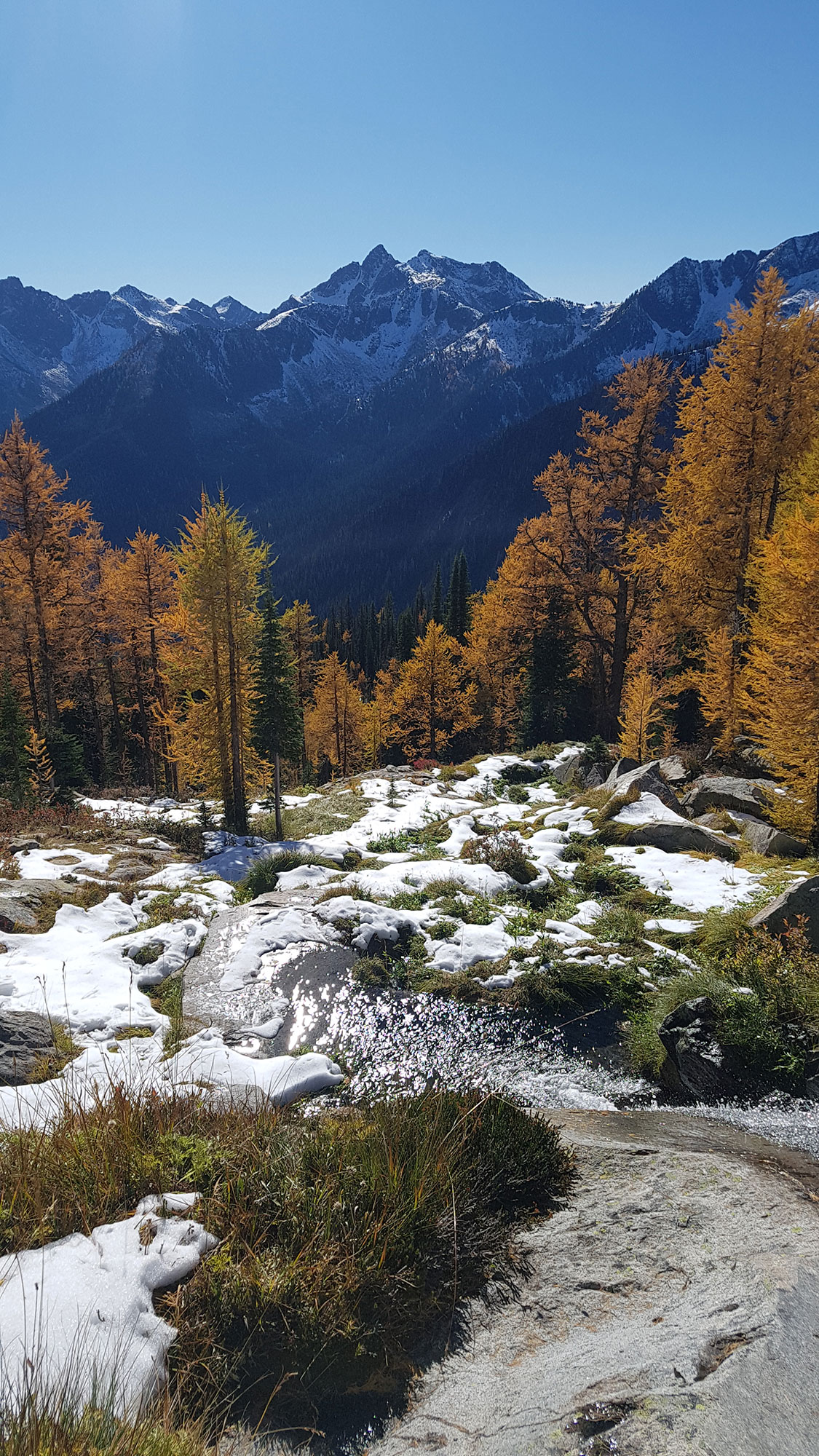 The Yoga Retreat in the Alps